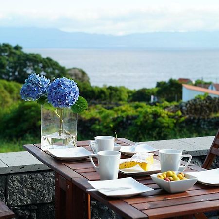 Terra Alta Casa Do Cedro Do Matoヴィラ エクステリア 写真