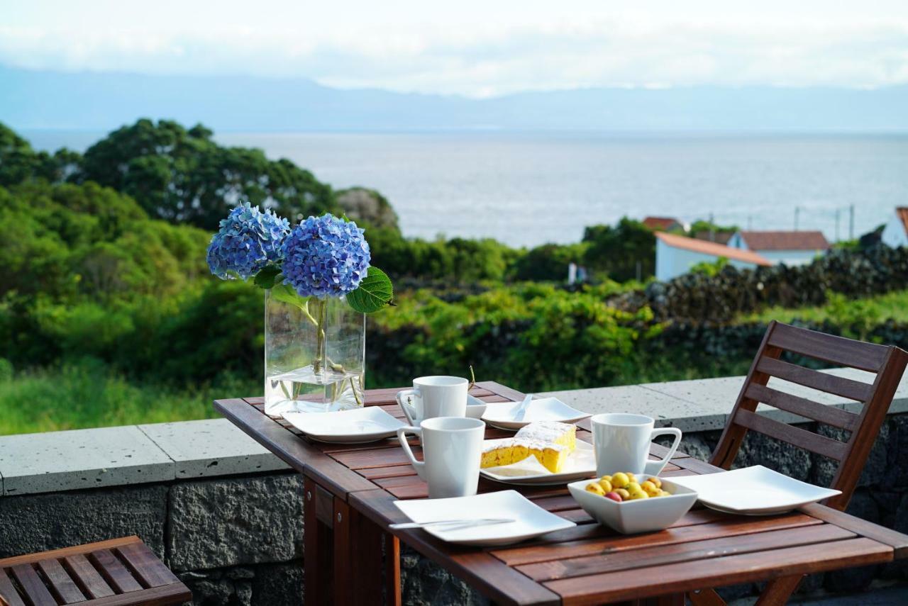 Terra Alta Casa Do Cedro Do Matoヴィラ エクステリア 写真