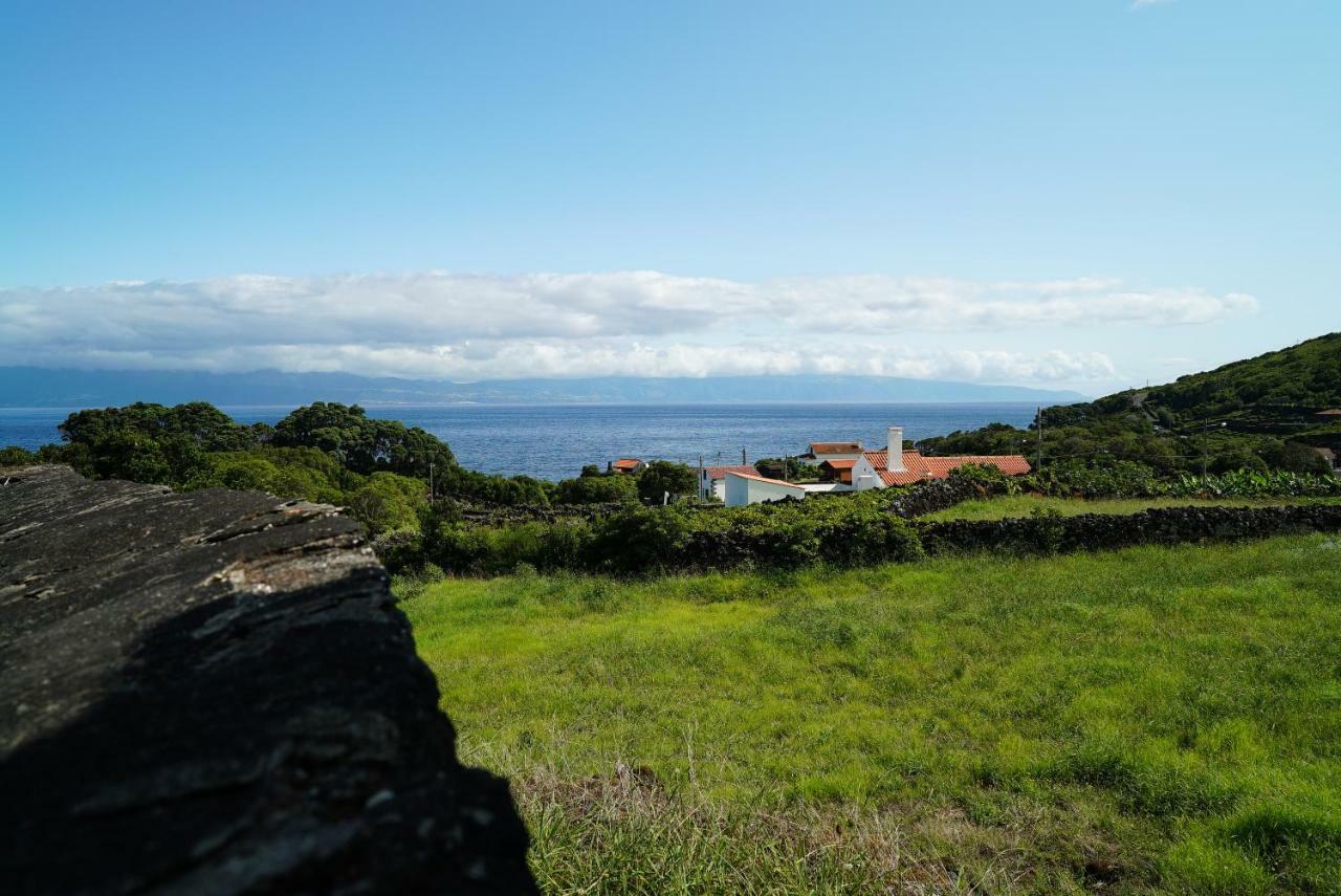 Terra Alta Casa Do Cedro Do Matoヴィラ エクステリア 写真